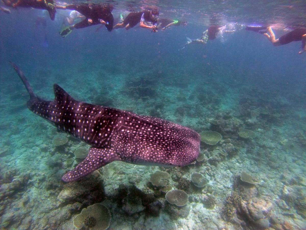 Atollkey Beach Villa Dhigurah  Buitenkant foto